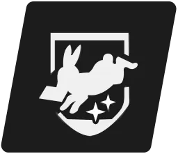 Veteran Courier